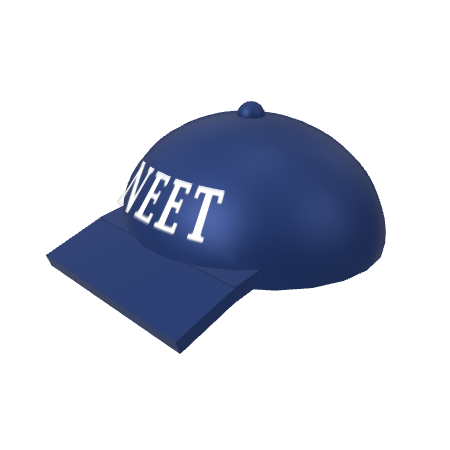 File:Cosmetic neet hat.png